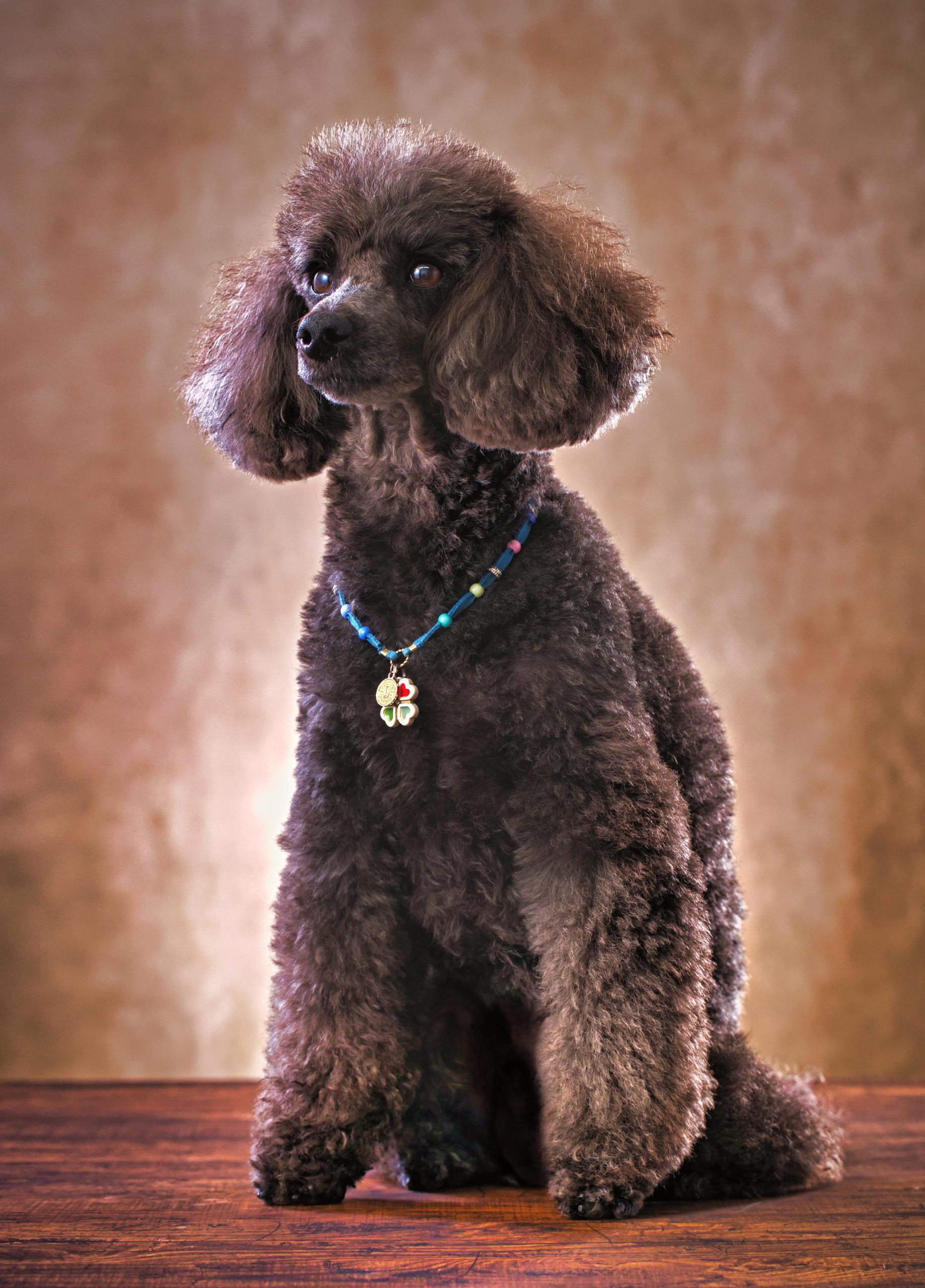 20230222_関口様5702のコピー