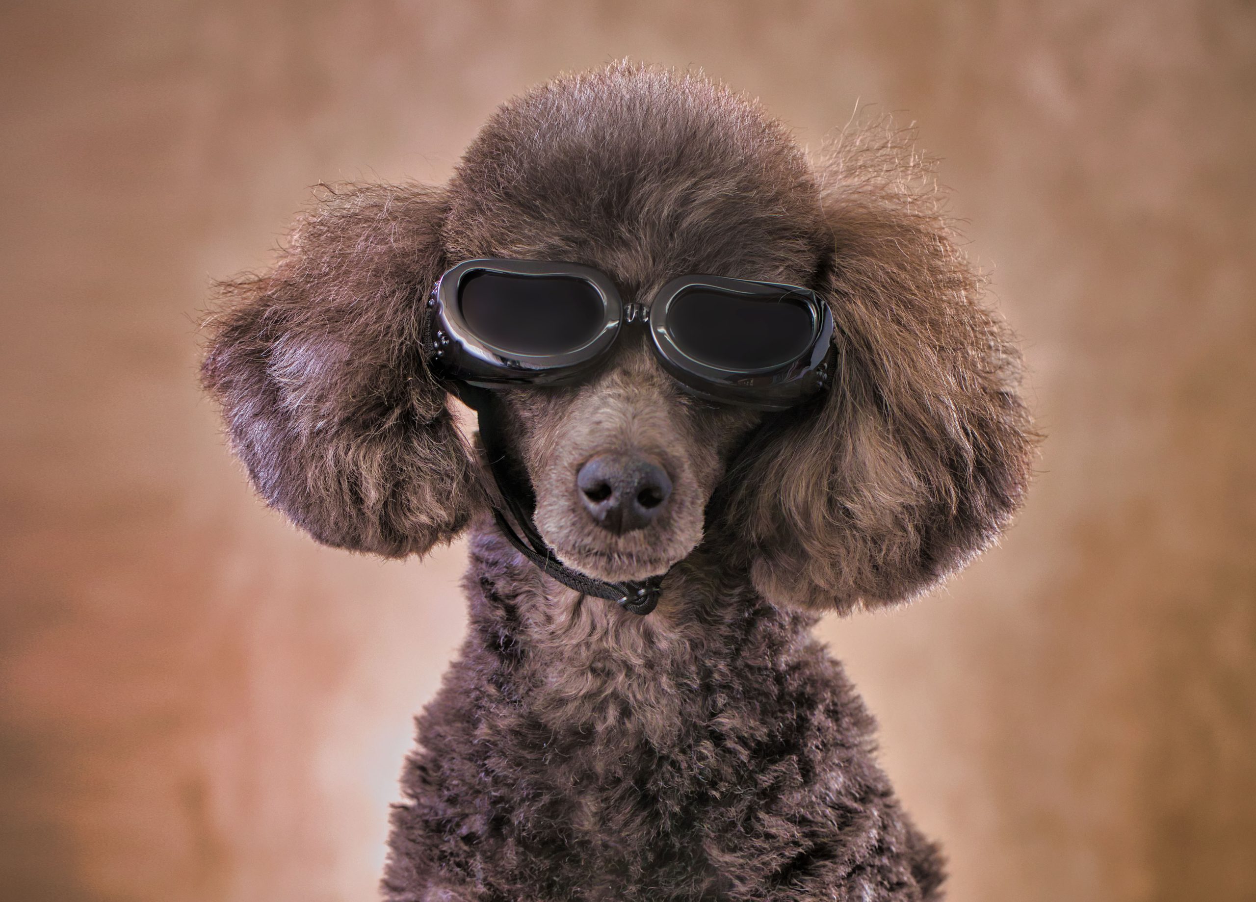 20230222_関口様5849のコピー