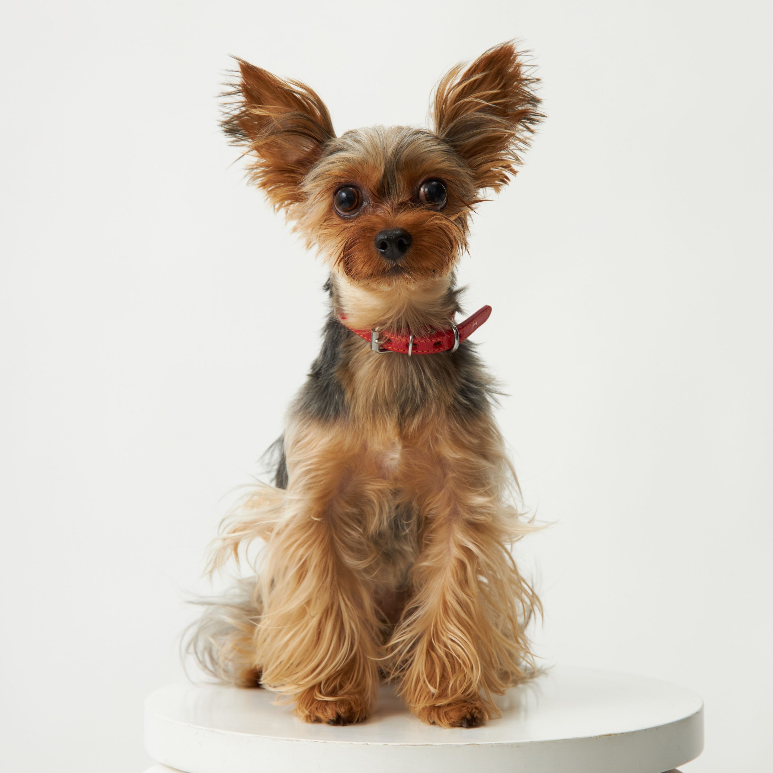 20240616_Fukuda2344_1X1